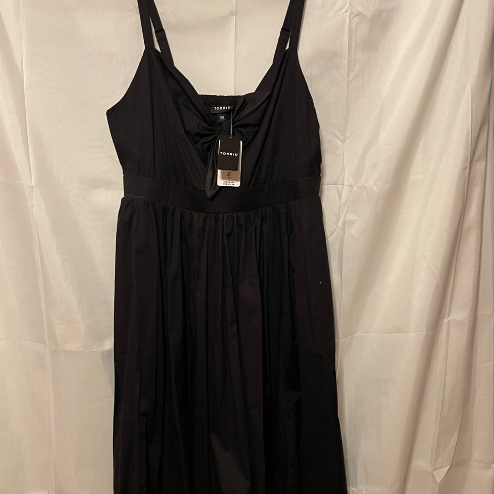Torrid skater dress